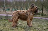 BRIARD 277